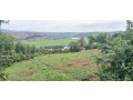 jabana-industial-land-for-sale-small-4