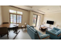 gacuriro-furnished-apartments-for-rent-in-kigali-small-0