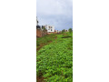 plot-for-sale-in-busanza-ata-good-place-small-1