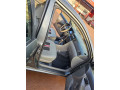 toyota-corolla-small-0