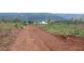 plot-for-sale-in-muyumbu-at-agood-place-small-0