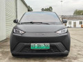 byd-small-1