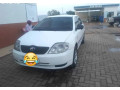 toyota-corolla-small-0