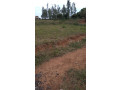busanza-plot-for-sale-in-kigali-small-3