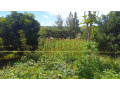 large-plot-for-sale-in-bugesera-small-7