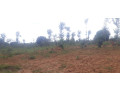 plot-for-sale-in-bugesera-near-airport-hot-deal-small-1