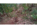 kigali-land-for-sale-in-rebero-rujugiro-small-7