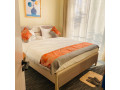apartment-full-furnished-vip-for-rent-ndera-small-7