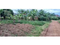 plot-for-sale-in-busanz-at-agood-place-small-0