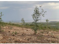 bugesera-plots-for-sale-in-kanzenze-small-6