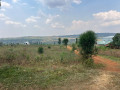 kanzenze-plots-for-sale-in-bugesera-small-1