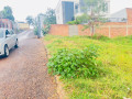 gacuriro-affordable-land-for-sale-in-kigali-small-6