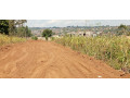ikibanza-kigurishwa-rusororo-small-0