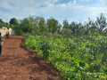 plot-fdor-sale-in-muyumbu-at-agood-place-small-2