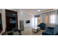 remera-furnished-apartment-for-rent-in-kigali-small-2