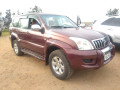 toyota-prado-small-0