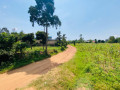 kigali-plot-for-sale-in-gasogi-kunyange-small-0