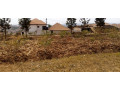 busanza-plot-for-sale-small-3