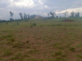 rwanda-plot-for-sale-in-bugesera-small-0