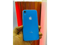 iphone-xr-small-0