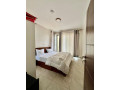 kigali-fully-furnished-apartment-for-rent-in-rusororo-small-7