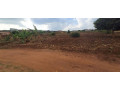 kigali-plot-for-sale-in-rebero-small-3