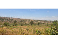 rusororo-land-for-sale-small-1