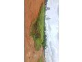 kinyinya-small-0