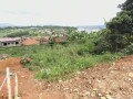 plot-for-sale-in-kinyinya-mubirembo-small-3