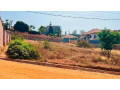 muyange-small-1