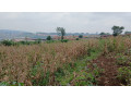 land-industry-masoro-land-for-sale-small-2