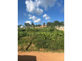 kagugu-batsinda-plot-for-sale-small-3