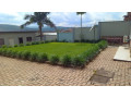 property-for-sale-small-5