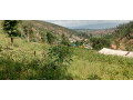 bumbogo-small-2