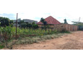 ikibanza-tugurisha-65m-gasogi-cyaruzinge-small-2