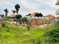 kibagabagaba-small-1