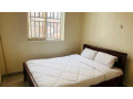 gishushu-near-lemigo-hotel-furnished-house-for-rent-small-6