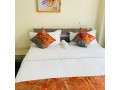 apartment-full-furnished-vip-for-rent-ndera-small-2