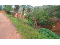 kigali-land-for-sale-in-nyamirambo-small-2