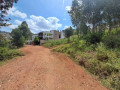rebero-small-2