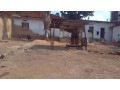 kicukiro-beautiful-plot-of-land-with-an-old-house-for-sale-in-kigali-small-12