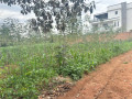 rusororo-plot-for-sale-in-kigali-small-0