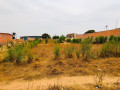 kimironko-plot-for-sale-small-3
