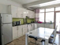 nyarutarama-very-nice-apartments-or-rent-in-prime-neighborhood-small-2