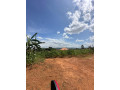 land-for-sale-in-gasogi-small-5