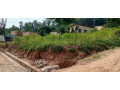 ikibanza-kigurisgwa-mubirembo-bya-kinyinya-murisite-ya-gisasa-small-2