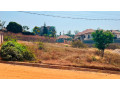 muyange-small-3