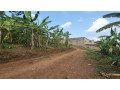 kigali-land-for-sale-in-nduba-small-0
