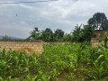 plot-for-sale-in-kagugu-bastinda-small-4