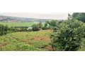 jabana-kabuye-land-industrail-for-sale-small-1